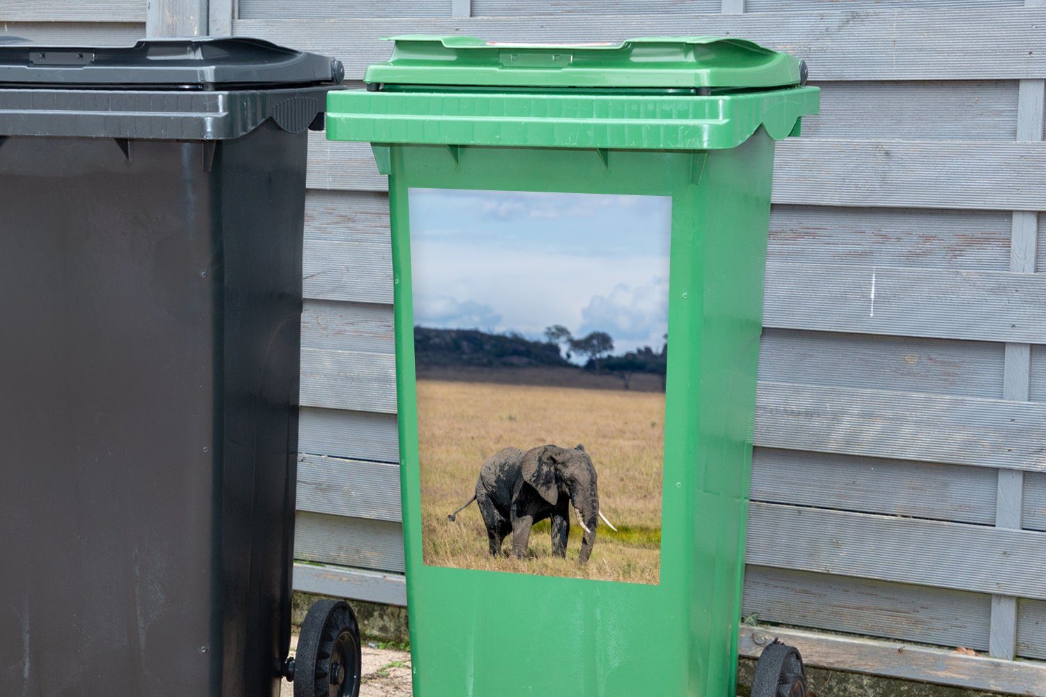 - St), Abfalbehälter Mülleimer-aufkleber, - - Tiere Mülltonne, Wandsticker Container, (1 Elefant Natur Sticker, MuchoWow Gras