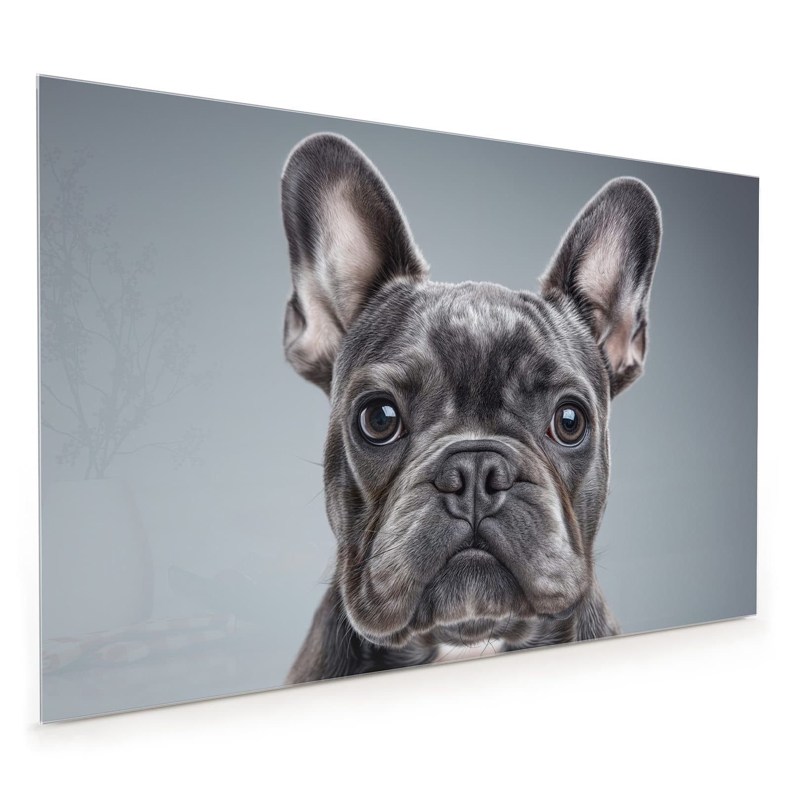 Primedeco Küchenrückwand Spritzschutz, Herdblende aus Glas - Motiv Französische Bulldogge