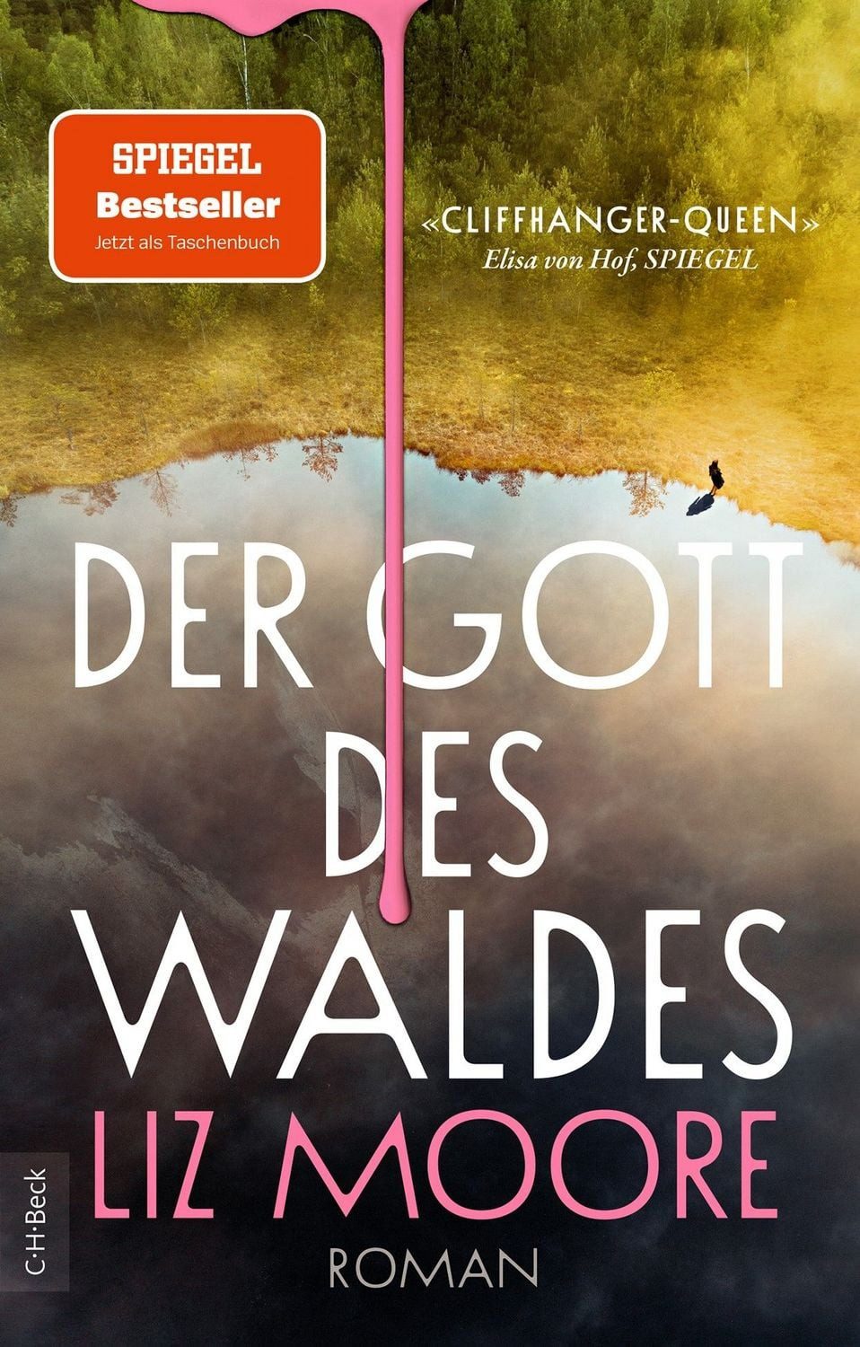 Der Gott des Waldes / Liz Moore, Roman, New York Times-Bestseller
