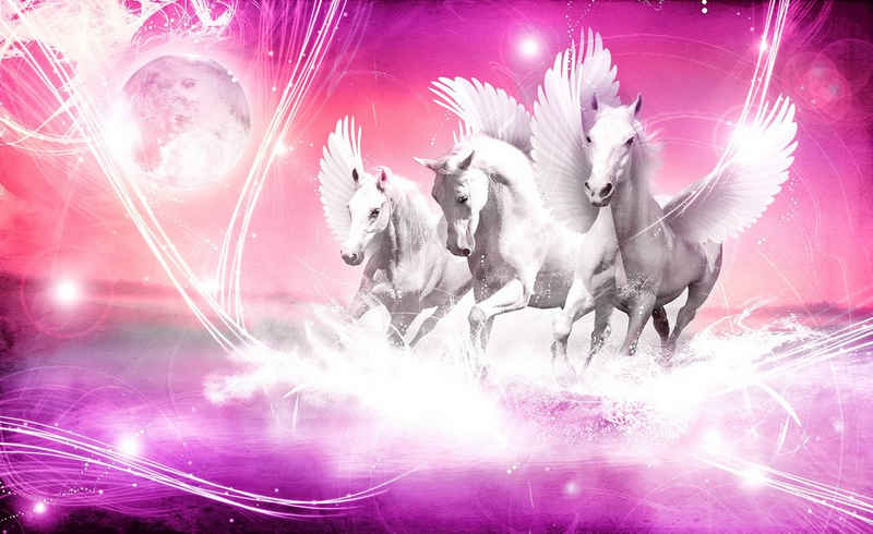Consalnet Fototapete Weißer Pegasus, glatt, Motiv