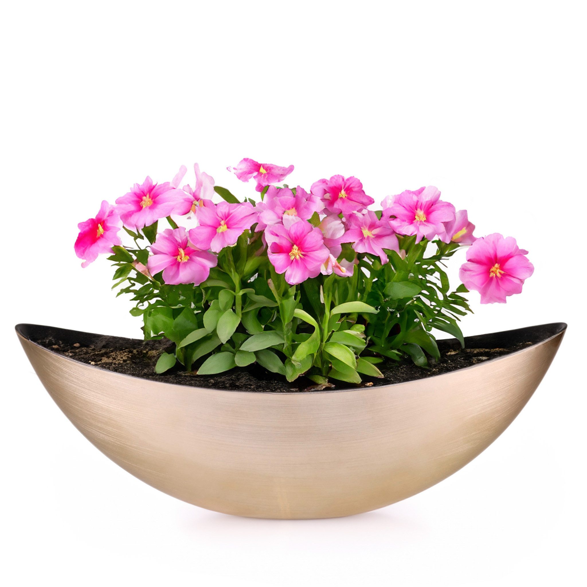 matches21 HOME & HOBBY Blumentopf Große Vintage Outdoor Pflanzschale oval 39 cm gold-farben (1 St), Längliche Deko-Schale als wetterfeste Garten-Deko Blumen-Schale