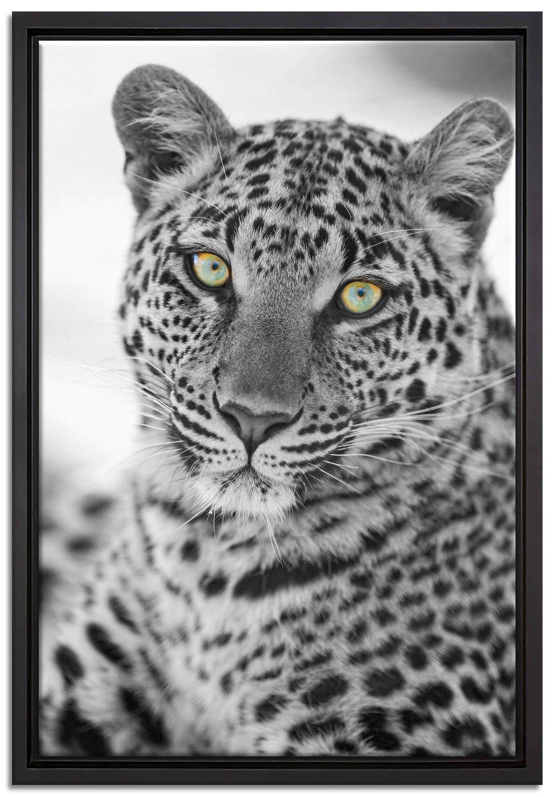 Pixxprint Leinwandbild wunderschöner Leopard, Wanddekoration (1 St), Leinwandbild fertig bespannt, in einem Schattenfugen-Bilderrahmen gefasst, inkl. Zackenaufhänger