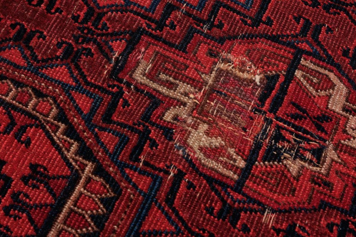 Handgeknüpfter Afghan Orientteppich, mm Nain 254x261 Trading, Buchara rechteckig, Höhe: 5 Orientteppich