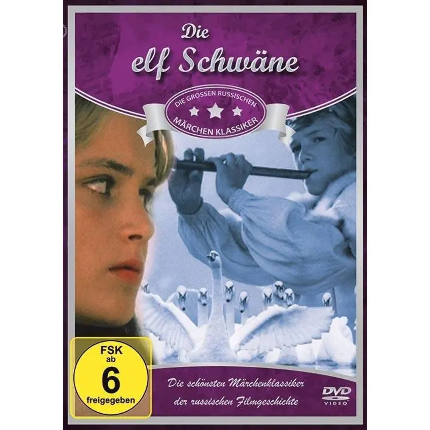 Icestorm DVD Die elf Schwäne