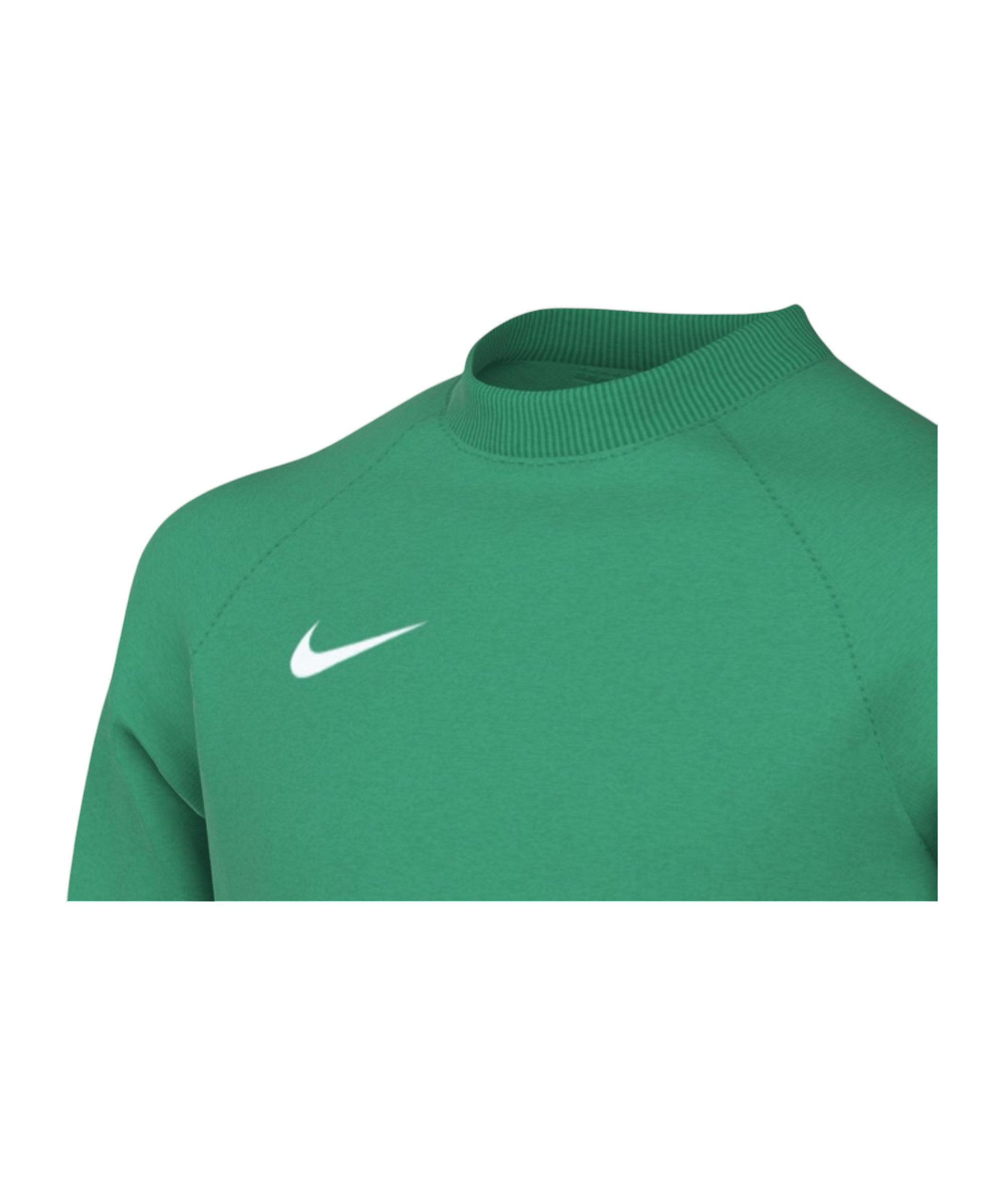 Nike Fußballtrikot Nike Performance Park V Trikot langarm Kids Teamsport