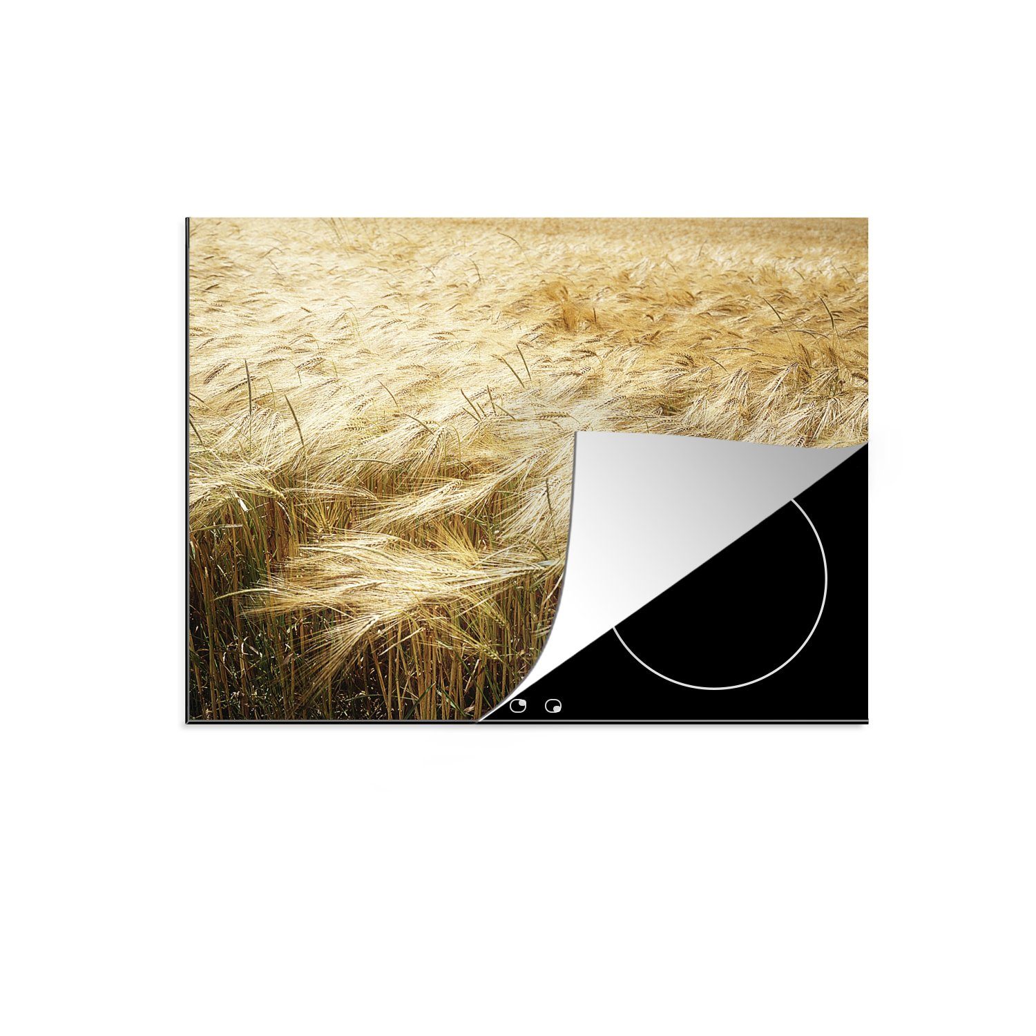 MuchoWow Herdblende-/Abdeckplatte Ein Getreidefeld von oben, Vinyl, (1 tlg), 60x52 cm, Mobile Arbeitsfläche nutzbar, Ceranfeldabdeckung