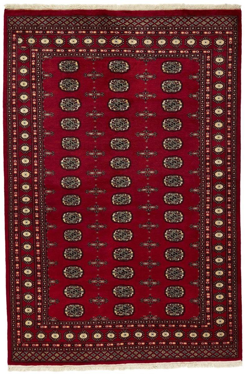 Orientteppich Pakistan Buchara 2ply mm Handgeknüpfter Nain rechteckig, Orientteppich, 8 Trading, 167x247 Höhe