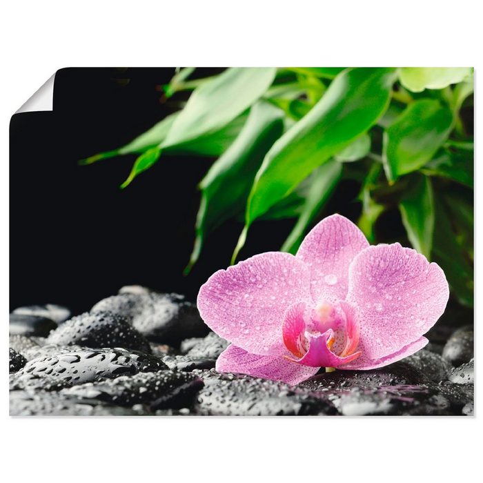 Artland Wandbild Rosa Orchidee auf schwarzen Zen Steinen Blumen (1 St) als Alubild Leinwandbild Wandaufkleber oder Poster in versch. Größen