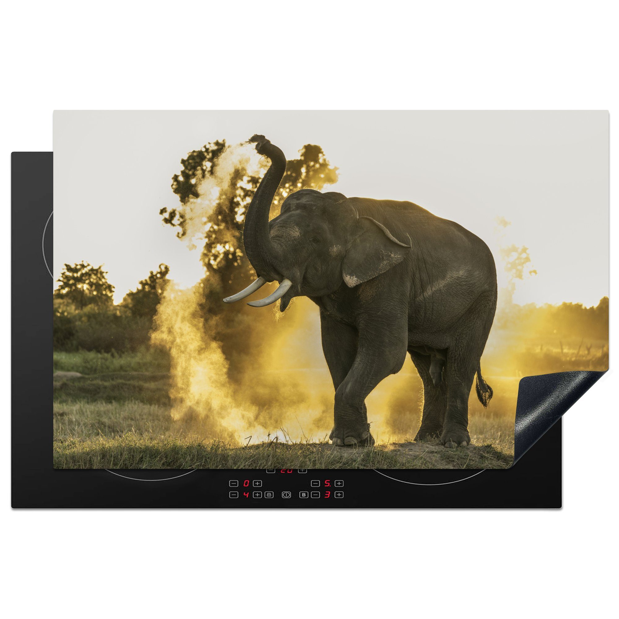 MuchoWow Herdblende-/Abdeckplatte Elefant - Sonne - Tiere, Vinyl, (1 tlg), 81x52 cm, Induktionskochfeld Schutz für die küche, Ceranfeldabdeckung