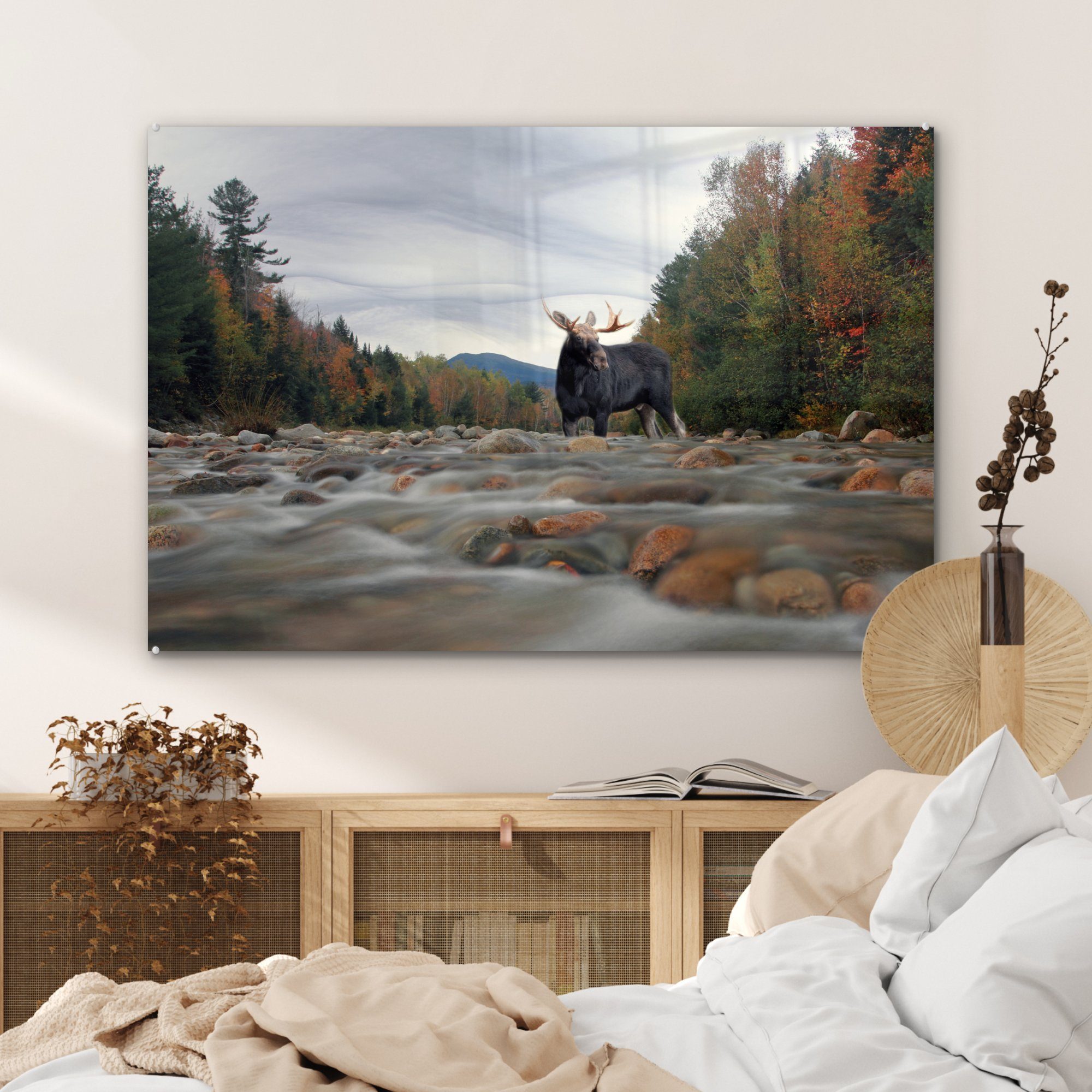 MuchoWow Hampshire, Wohnzimmer Elch St), Acrylglasbild Acrylglasbilder Schlafzimmer in einem & in New Fluss (1