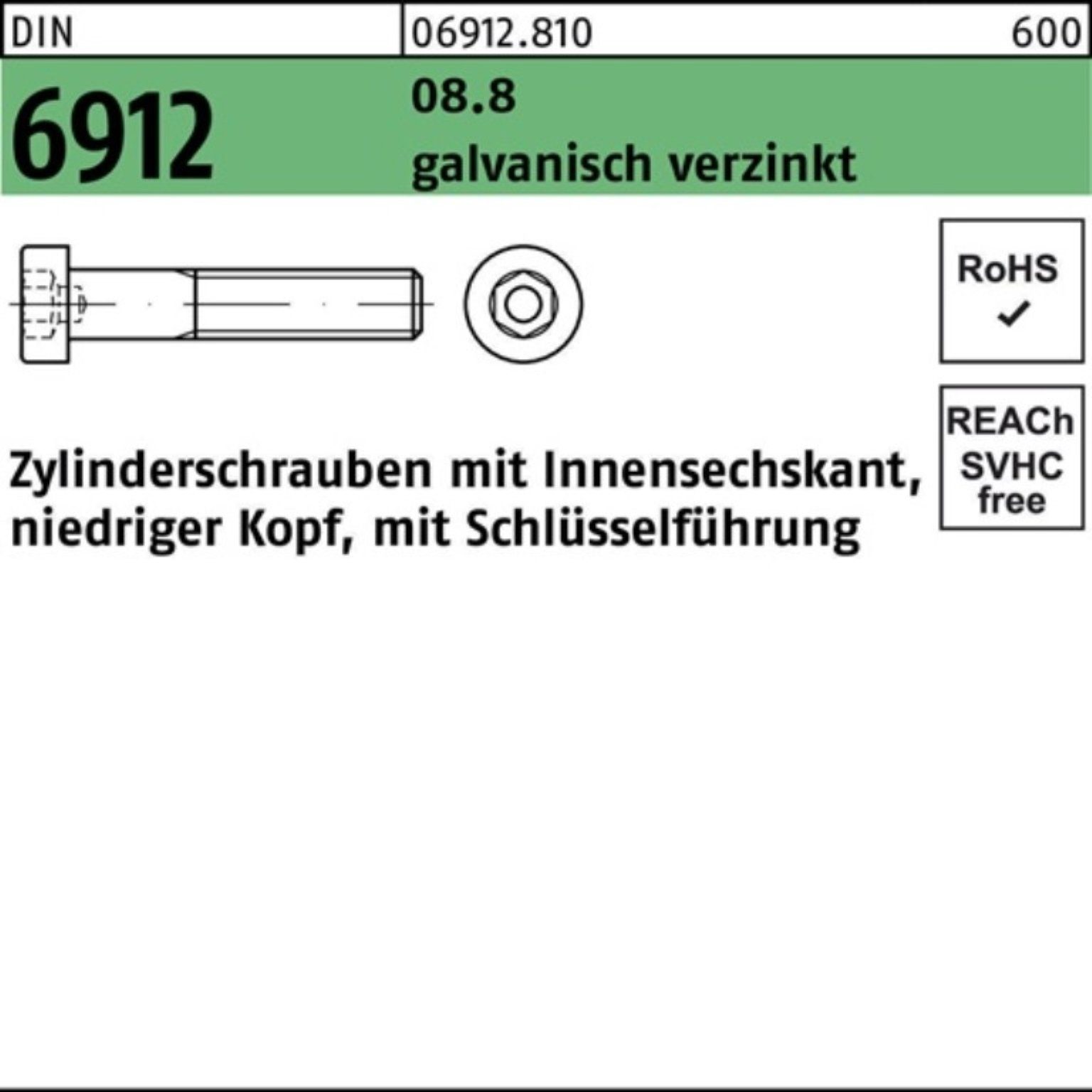 Pack DIN 6912 100er Reyher 2 Zylinderschraube Innen-6kt Zylinderschraube 8.8 galv.verz. M16x90