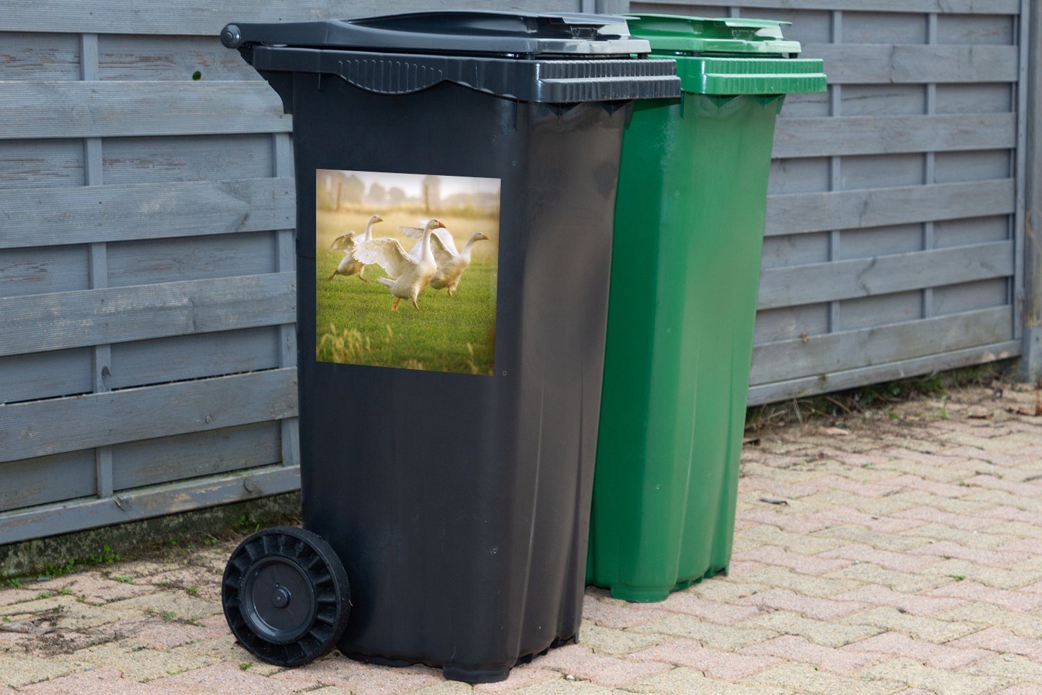 MuchoWow Wandsticker ihre breiten Sonnenlicht im Mülltonne, Gänse Mülleimer-aufkleber, (1 Drei Sticker, Abfalbehälter aus Flügel Container, St)