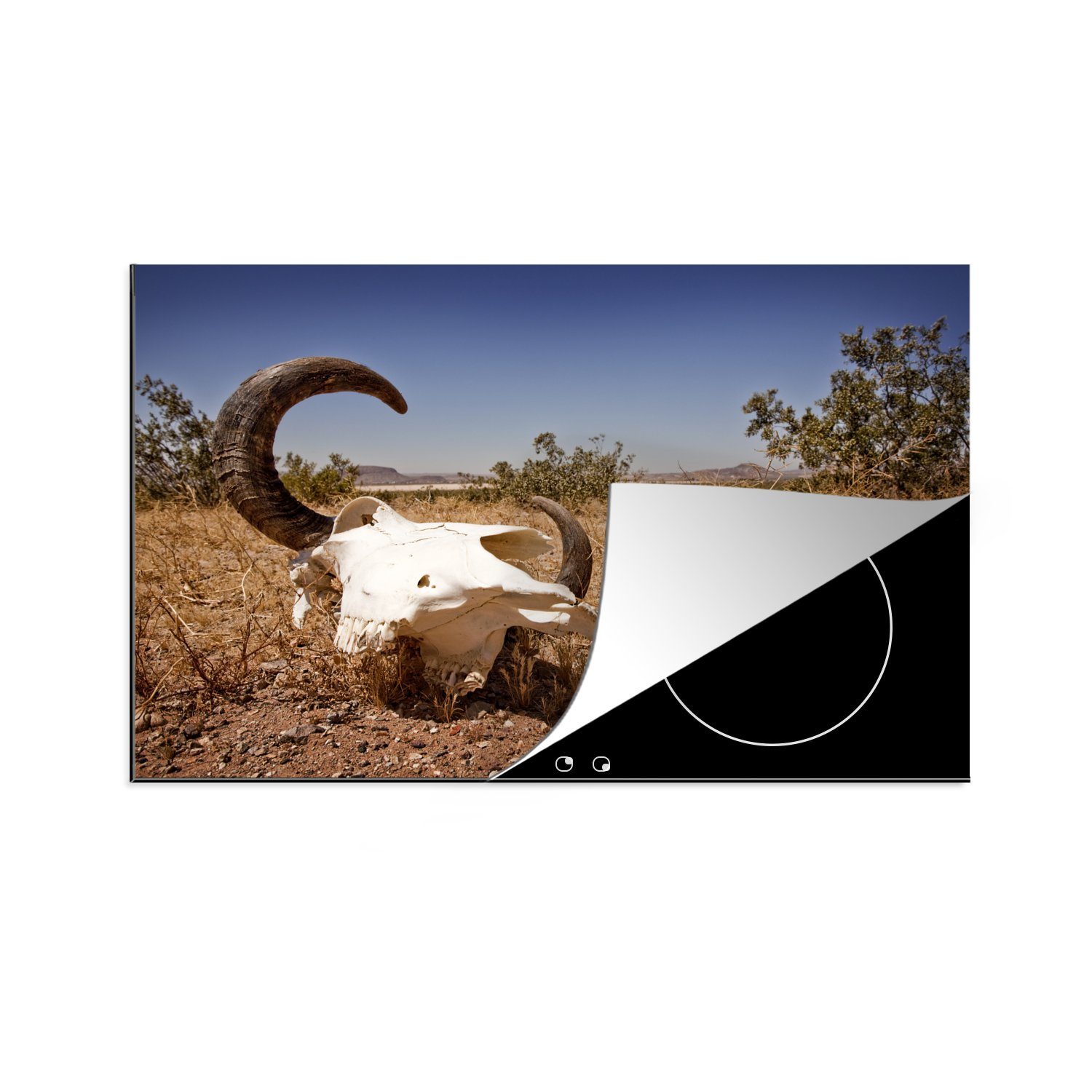 MuchoWow Herdblende-/Abdeckplatte Stierschädel in der Wüste, Vinyl, (1 tlg), 81x52 cm, Induktionskochfeld Schutz für die küche, Ceranfeldabdeckung
