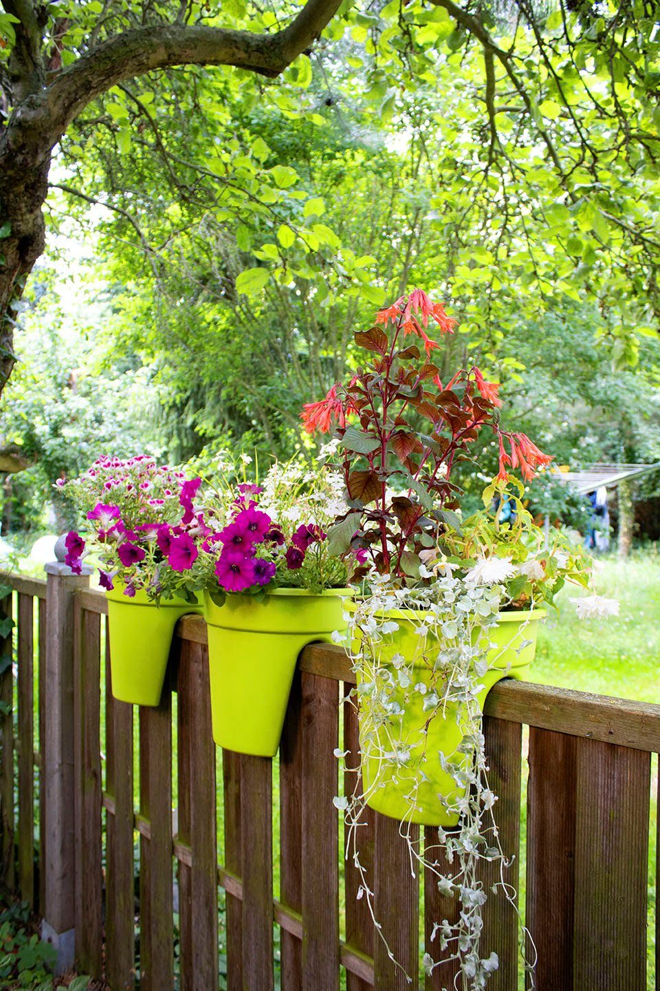 KHW Balkonkasten Flowerclip (Set, 3 St), Ø 27 cm