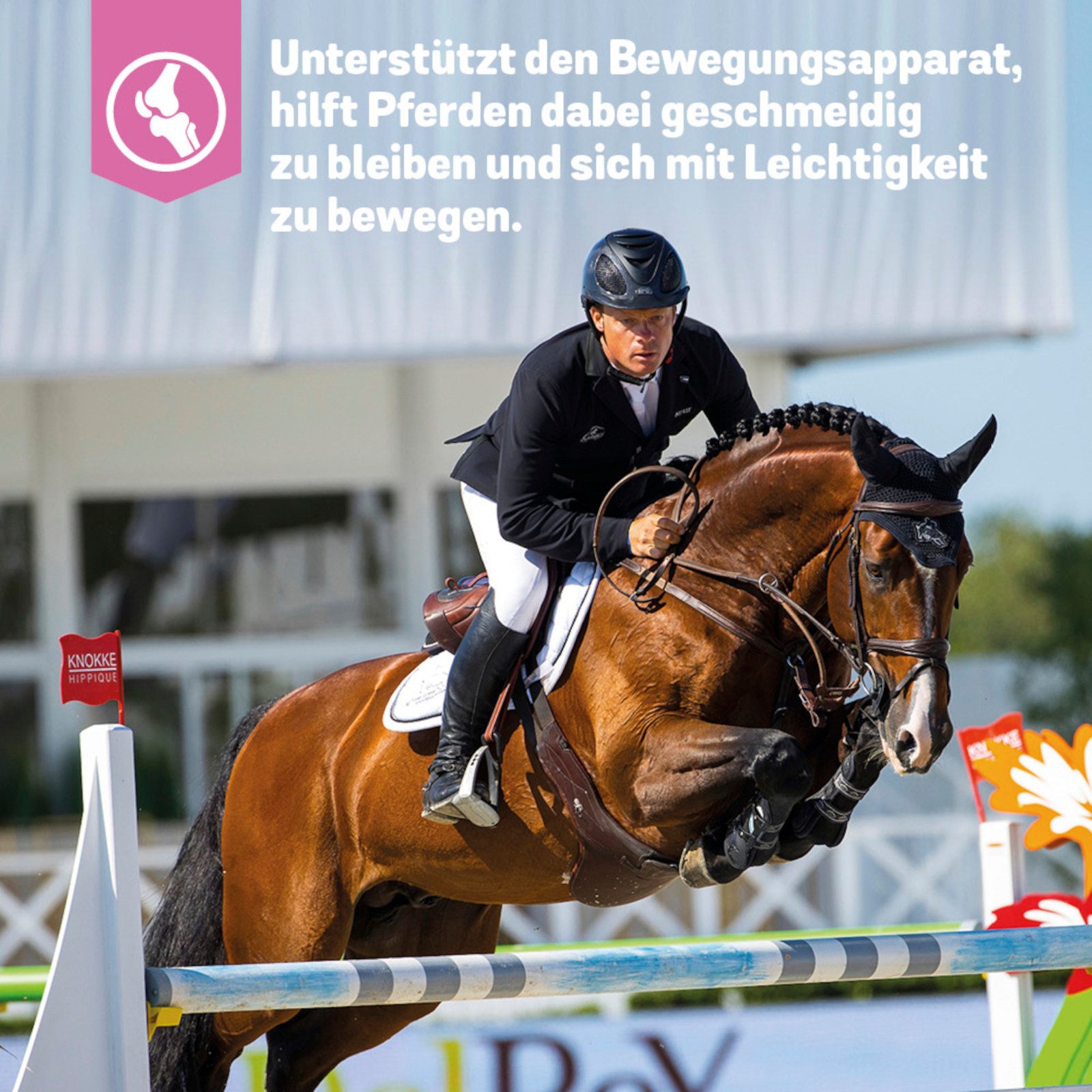 PrimeVal Gelatinaat für Pferde, fördert die Muskelkondition und den Erhalt k..., Ergänzungsfutter für: Pferde