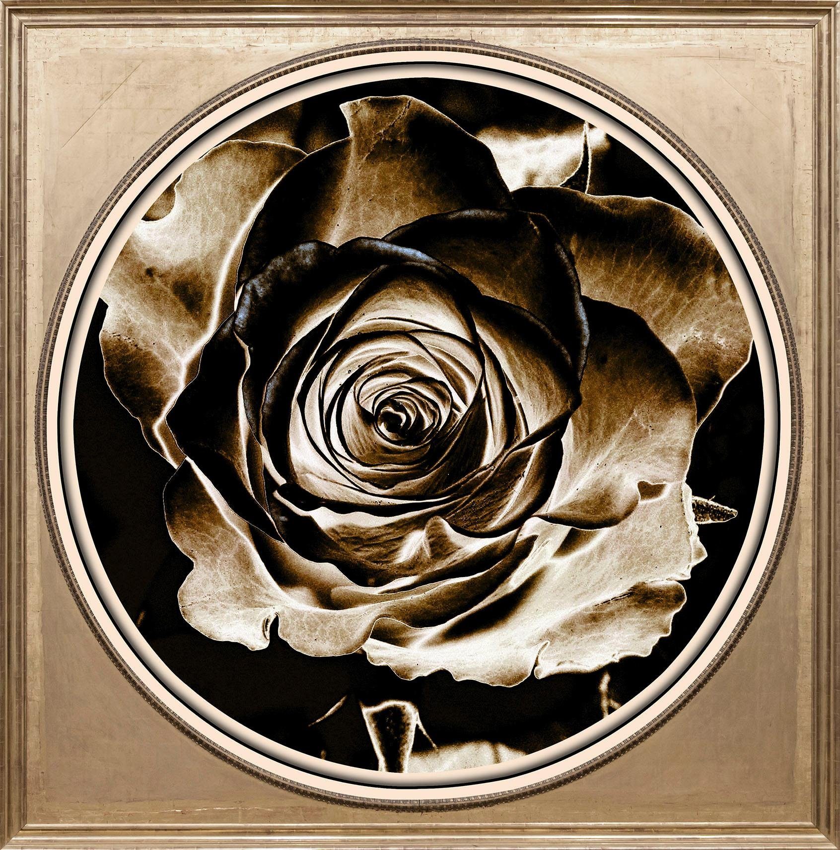 Acrylglasbild Rose queence Sepia