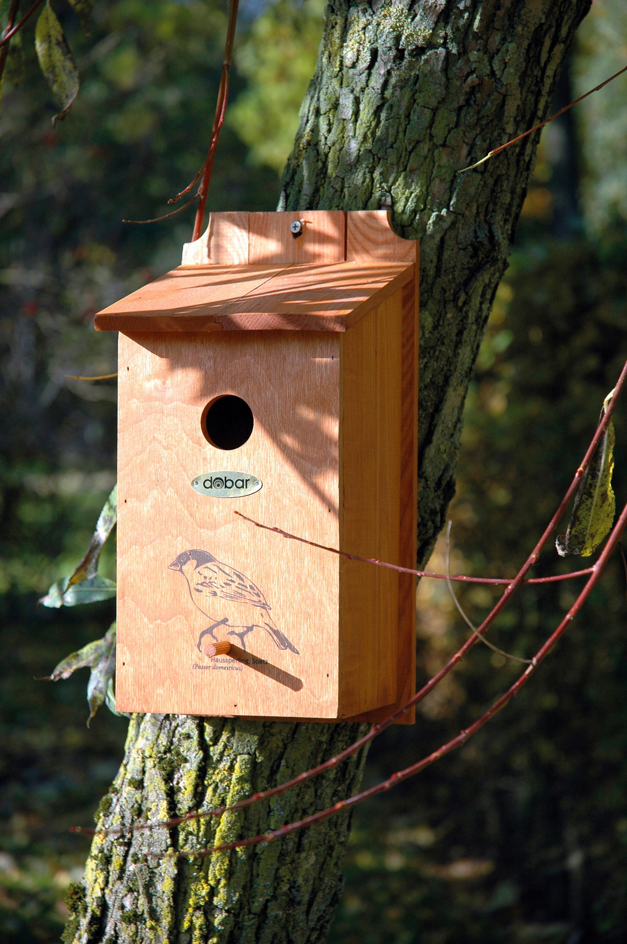 dobar Vogelhaus Nistkasten mit Siebdruckmotiv "Haussperling"