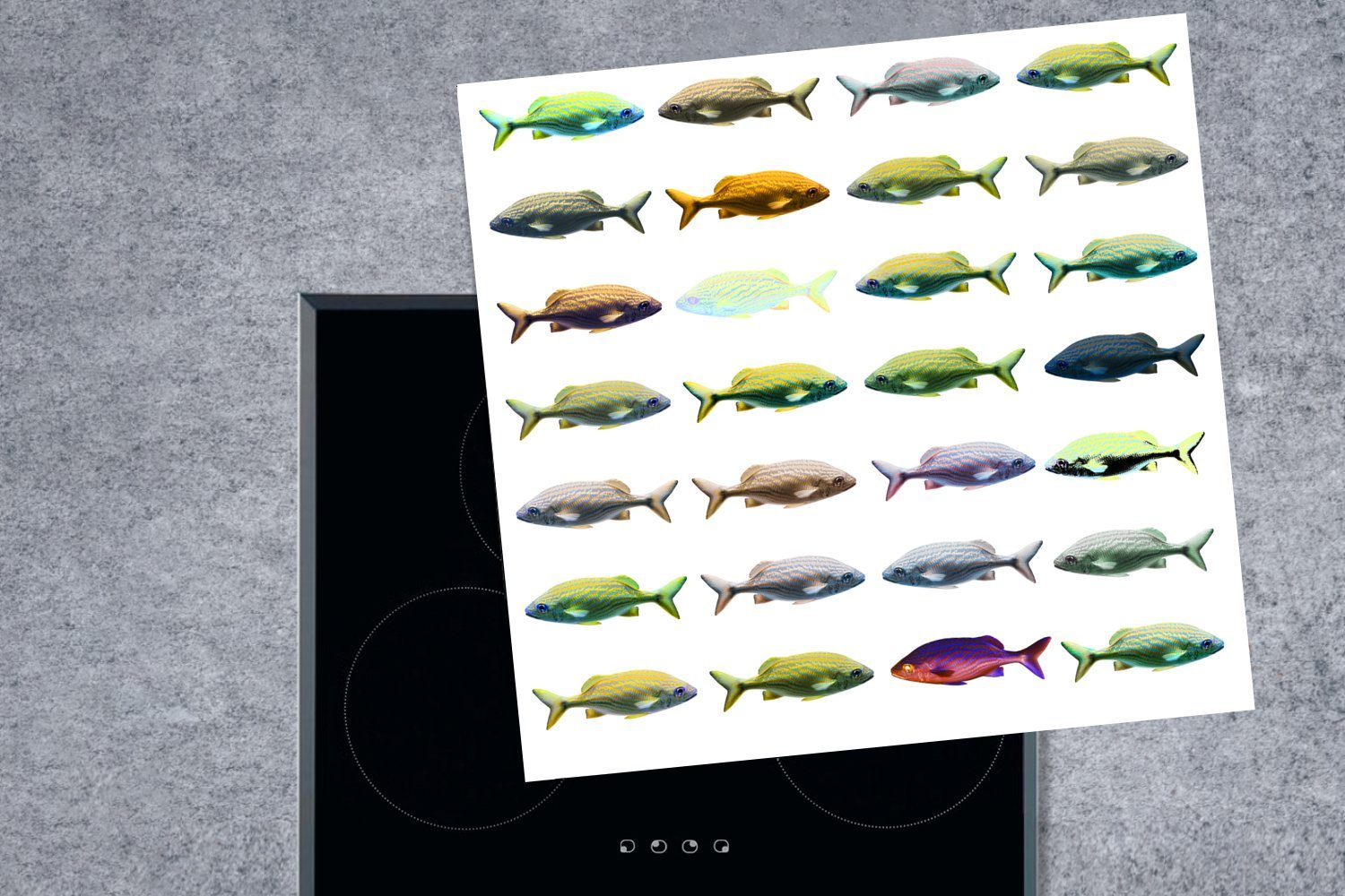 Muster, 78x78 Tiere tlg), Vinyl, cm, MuchoWow Ceranfeldabdeckung, Herdblende-/Abdeckplatte küche - (1 für - Arbeitsplatte Fische