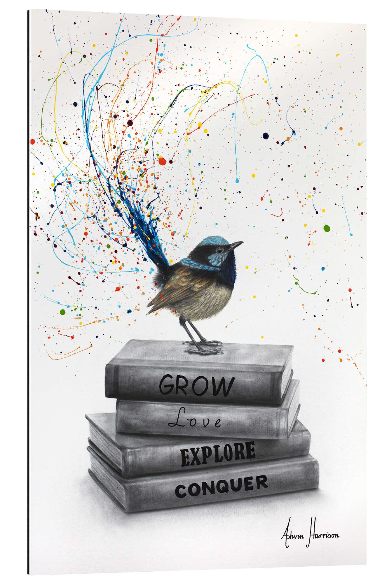 XXL-Wandbild Ashvin Harrison
