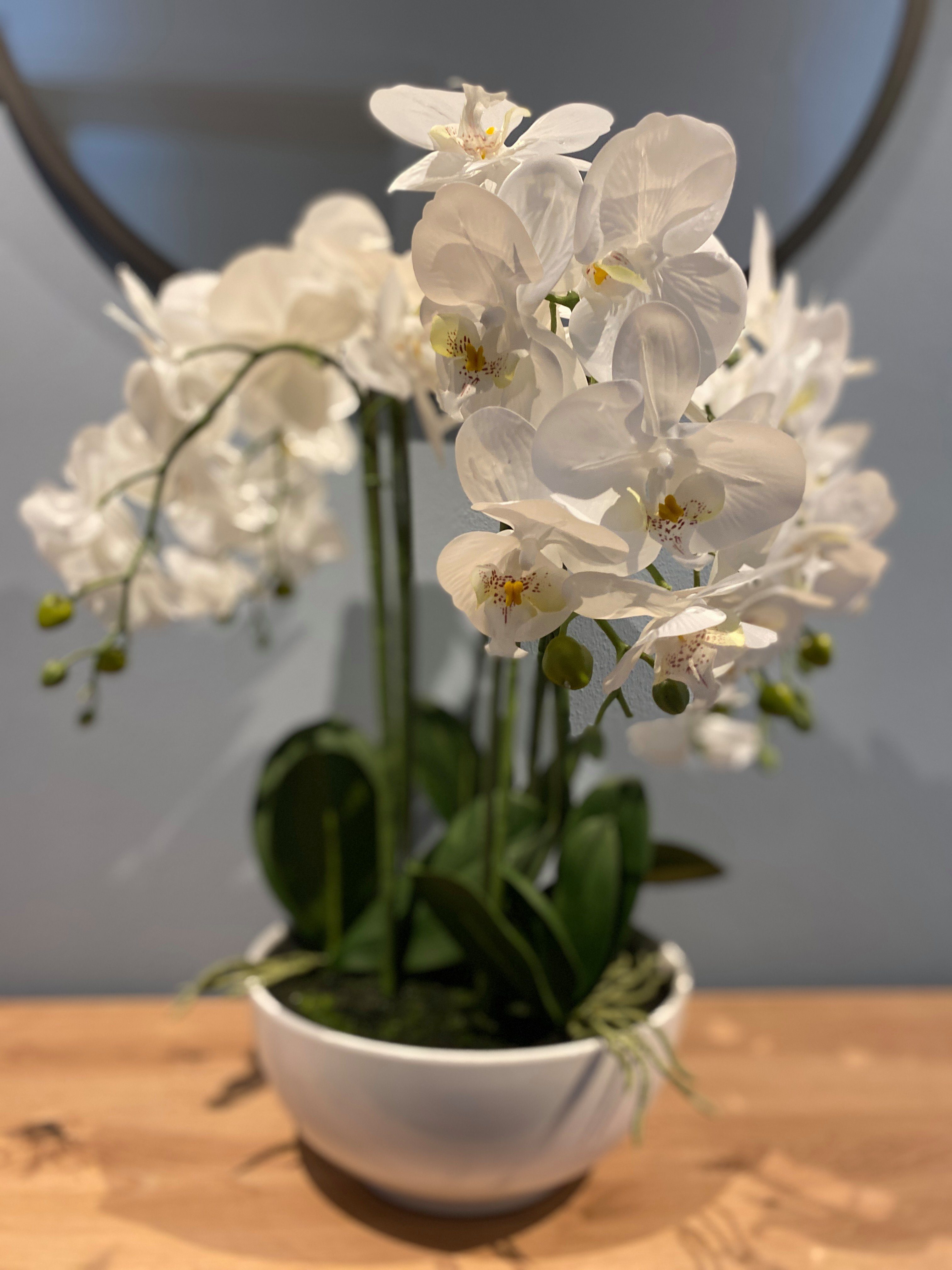 Kunstorchidee Kunstpflanze Orchidee Phalenopsis 54 cm green, in weiß Höhe Creativ Keramik-Schale 54 cm, Orchidee