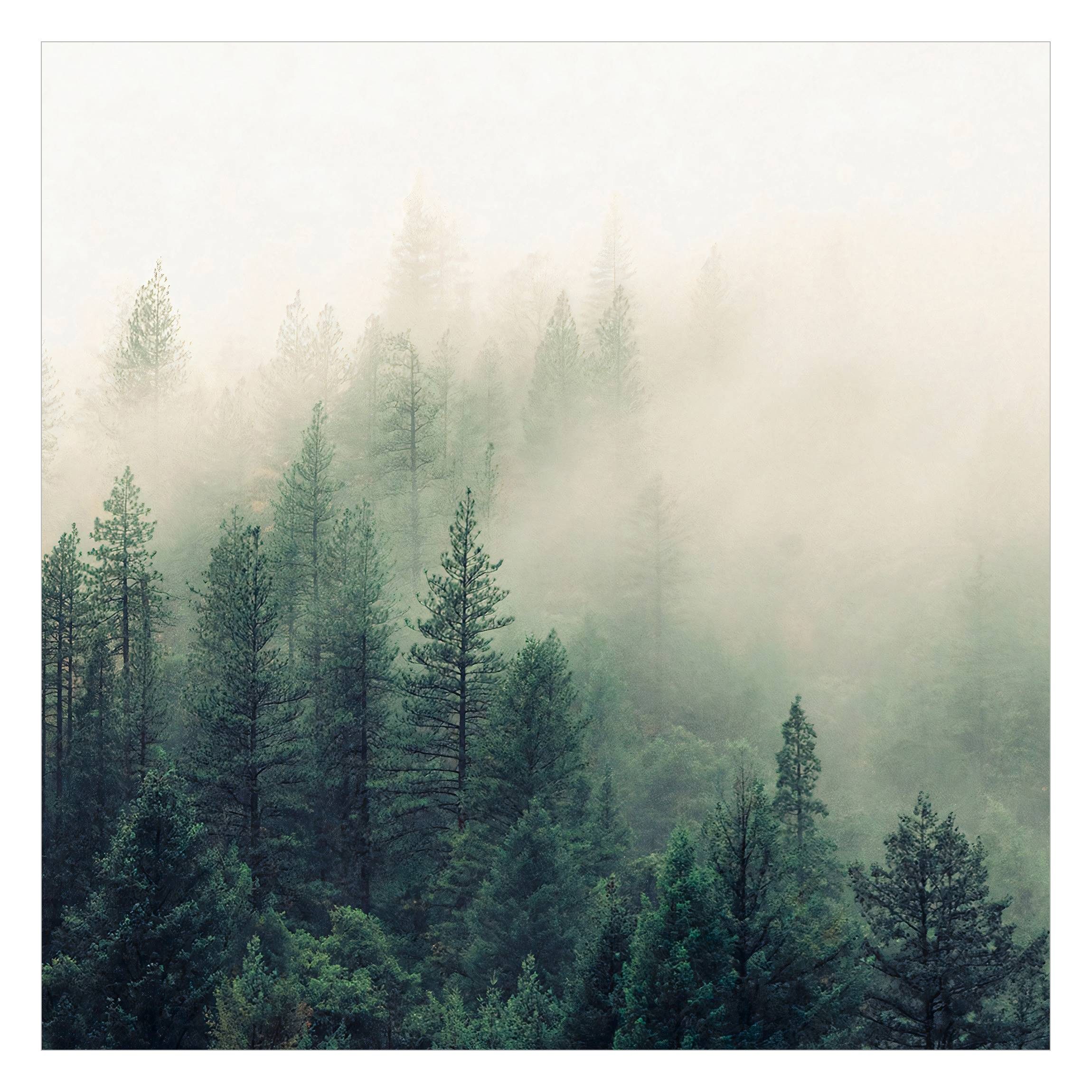 Bilderdepot24 Fototapete Wald Nebel 3D Effekt günstig online kaufen