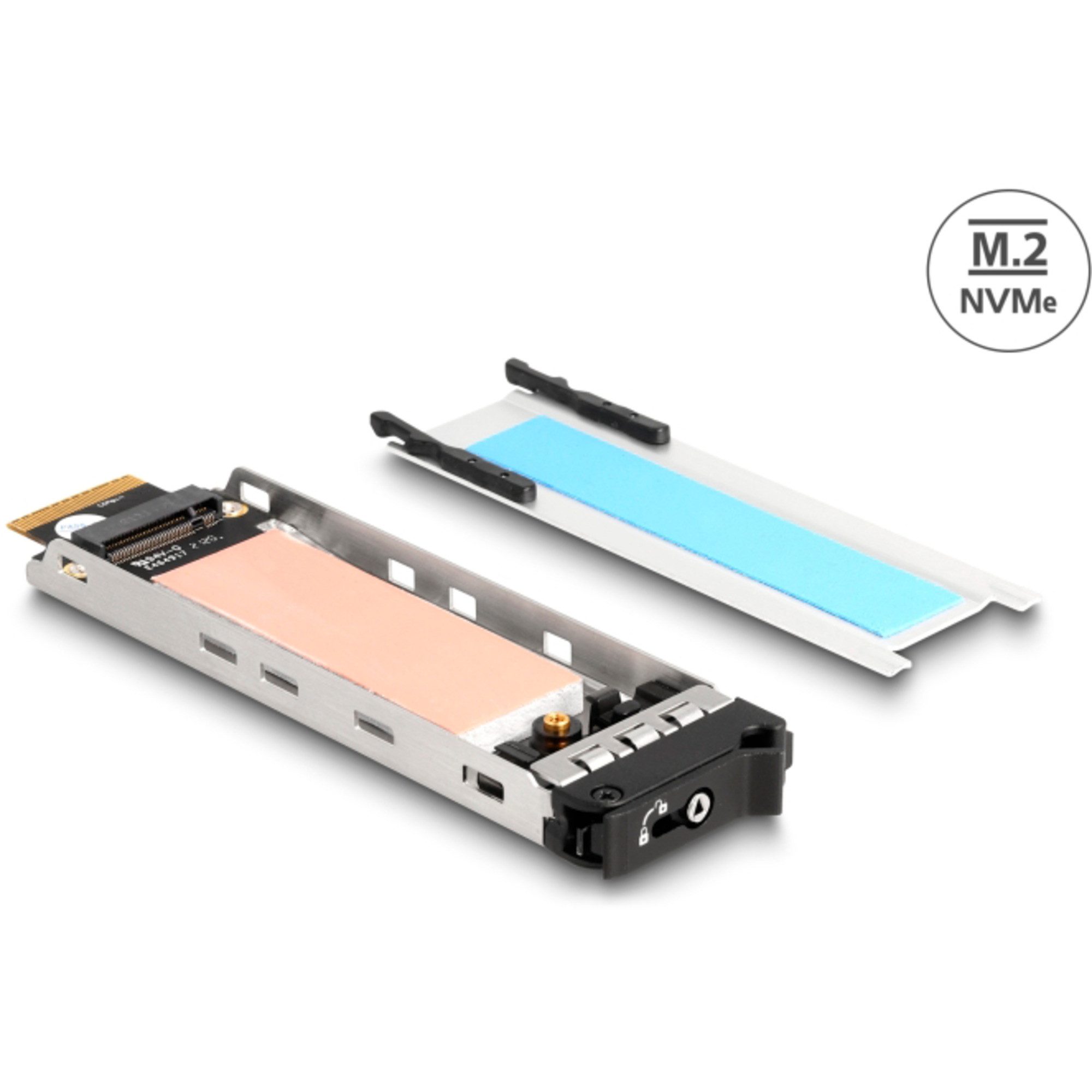 Delock Festplatten-Gehäuse DeLOCK Wechselrahmen Einschub 1 x M.2 NMVe SSD für