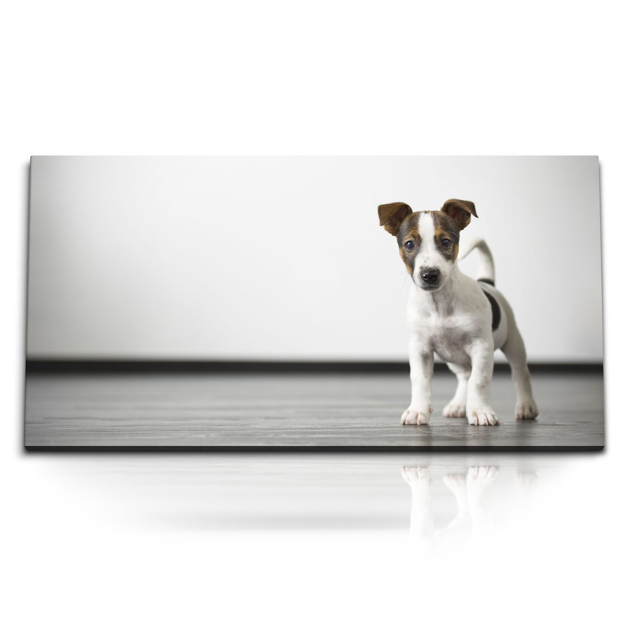 Leinwandbild Kunstdruck Bilder 120x60cm Kleiner Welpe Hund Jack Russell Babyhund