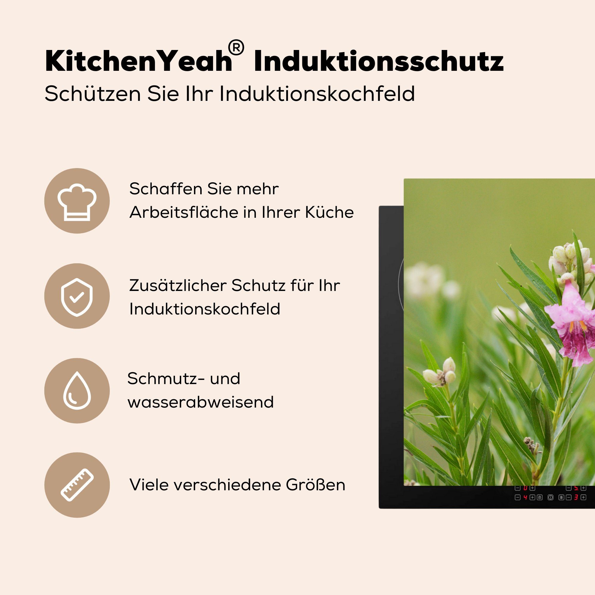 MuchoWow Herdblende-/Abdeckplatte Rubinkehlkolibri ernährt küche, Blüte, tlg), Vinyl, von die Schutz 81x52 rosa sich für Ceranfeldabdeckung (1 Induktionskochfeld cm, einer