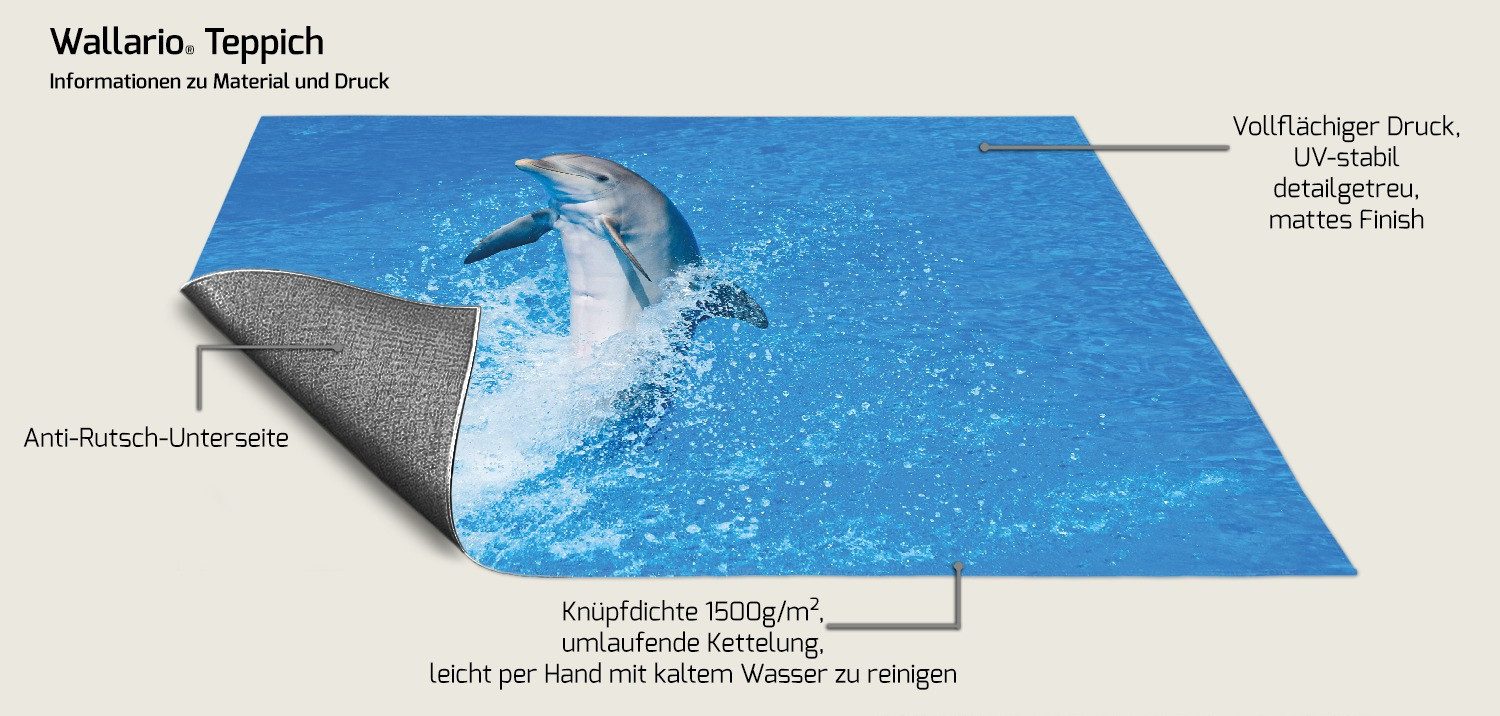 Wallario Teppich Fröhlicher Delfin im blauen Wasser, rechteckig, rutschfest