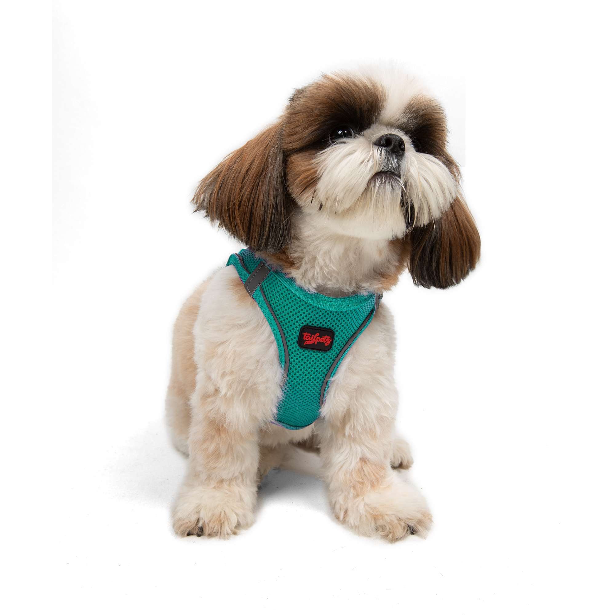 Jumeon Hunde-Geschirr Air Mesh - 3XS-2XS-XS-S GROßE, Strapazierfähig & langlebig, 100% POLYESTER, Komfortabel & sicher, Für kleine bis große Hunde