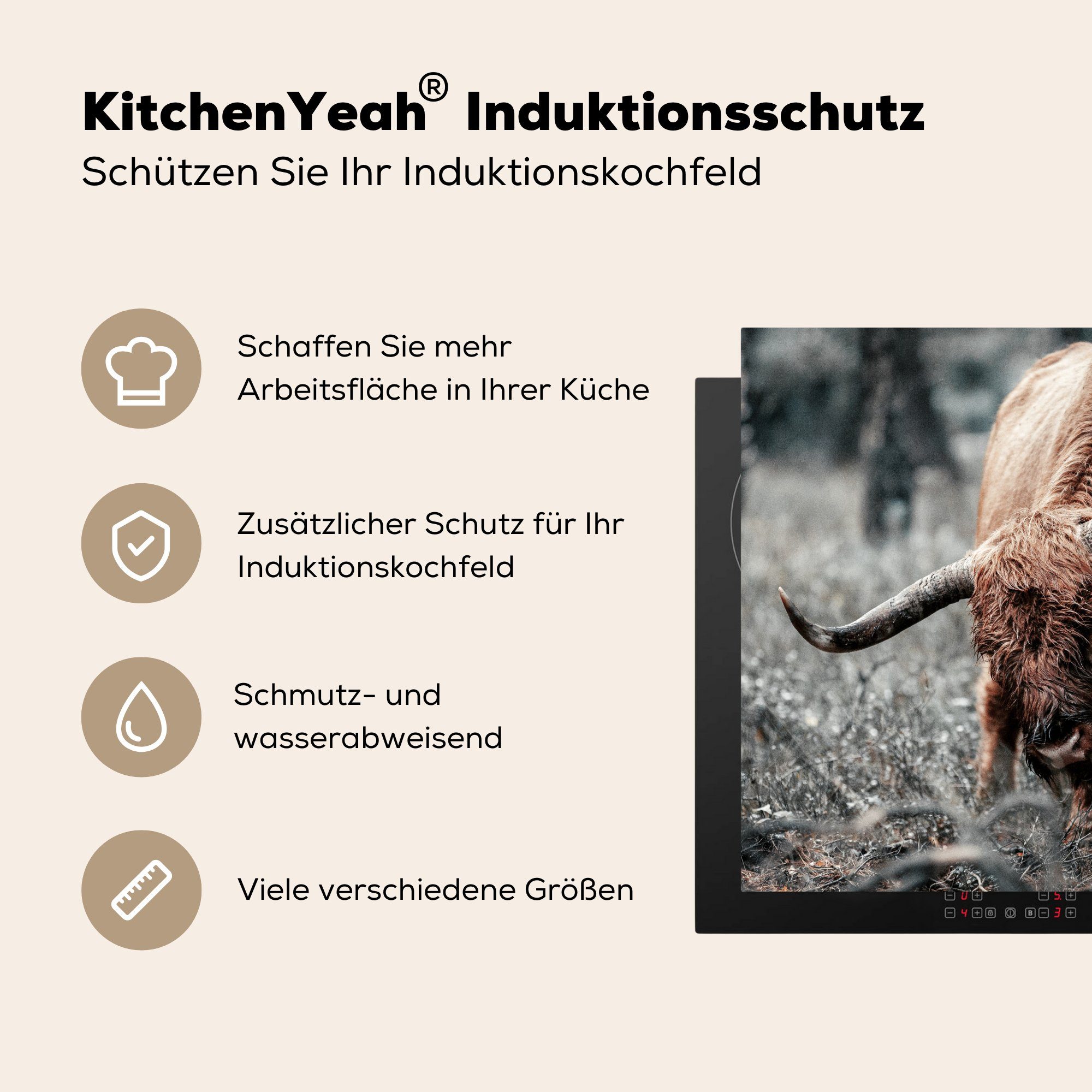 Kuh küche - Schottischer Vinyl, Herdblende-/Abdeckplatte tlg), Highlander Winter, Arbeitsplatte Ceranfeldabdeckung, für MuchoWow - cm, (1 78x78