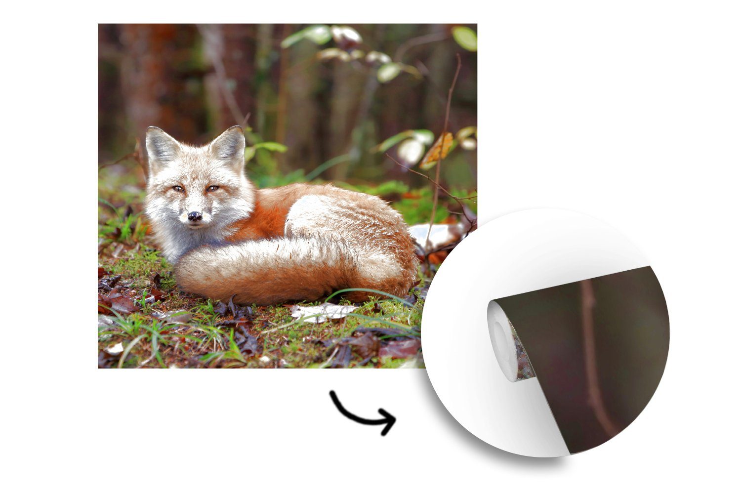 Wald Wohnzimmer Schlafzimmer, oder (5 Fuchs - bedruckt, Tapete Wandtapete Fototapete Vinyl St), Matt, für Tier, MuchoWow -