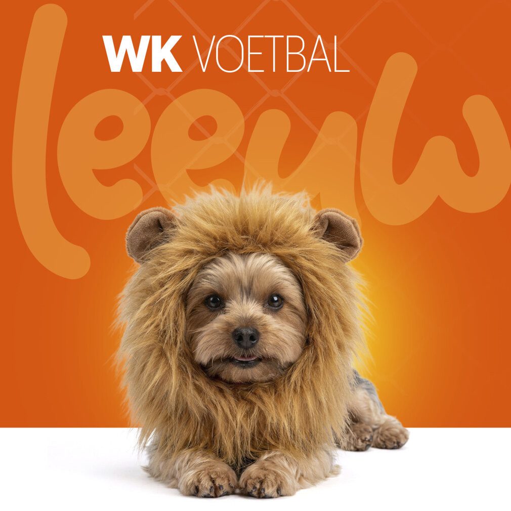 Holland Animal Care Tierquietschie Oranje WK Manen Tooi S