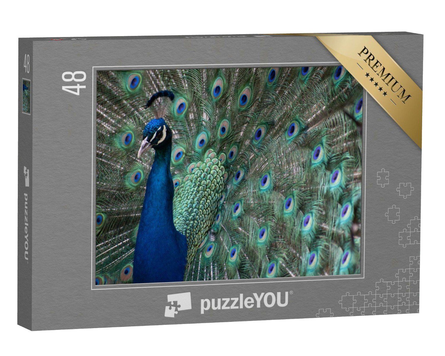 puzzleYOU Puzzle Ein Pfau mit ausgefahrenen Federn, 48 Puzzleteile, puzzleYOU-Kollektionen Pfauen, Tiere in Dschungel & Regenwald