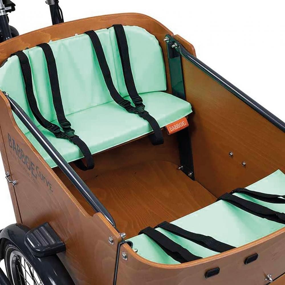 Babboe Babboe Kissenset Minty Green für Curve E-Bike Akku