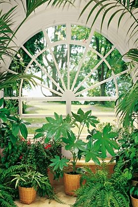 HOME AFFAIRE Фотообои »Wintergarden«
