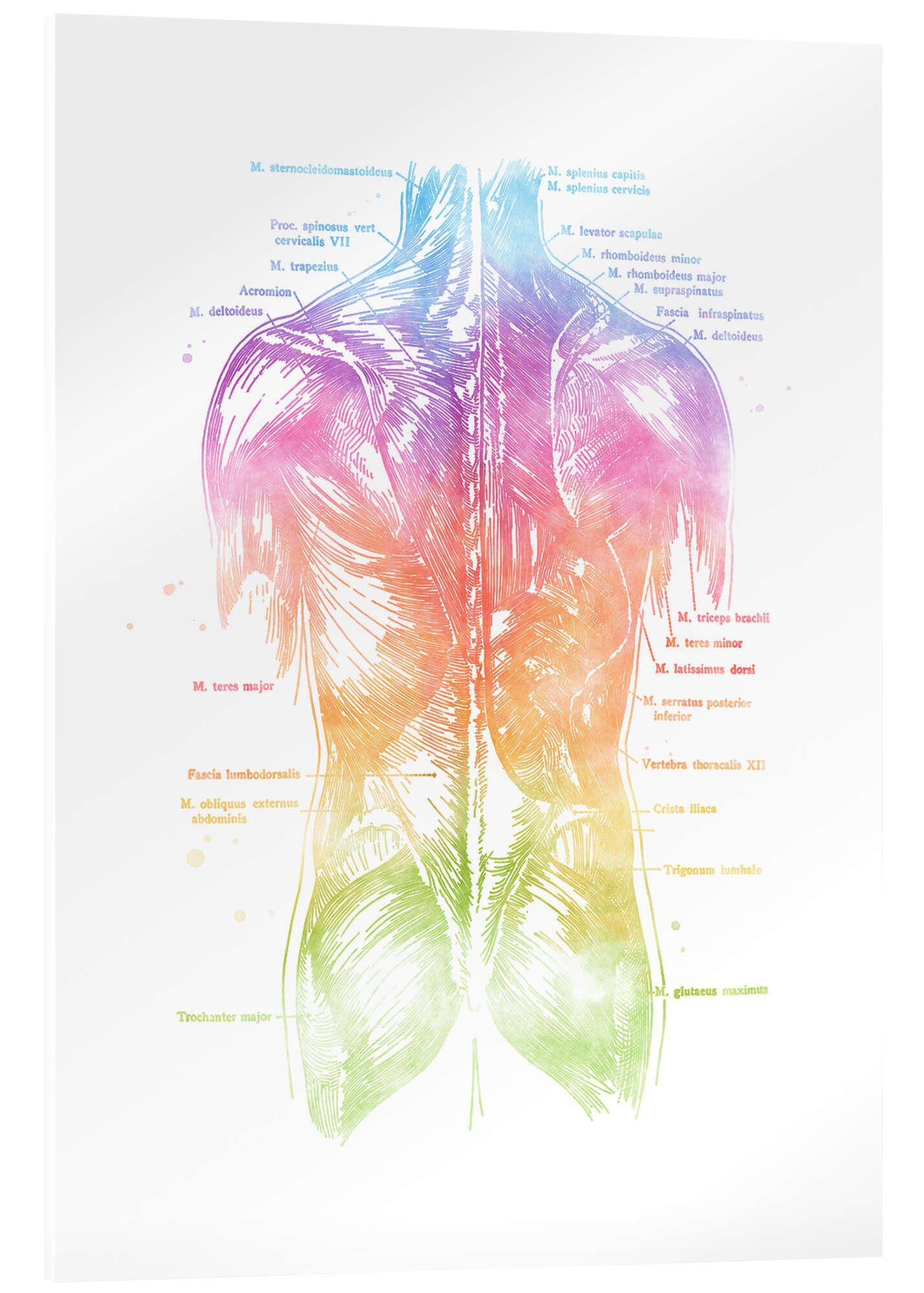 Posterlounge Wandbild Regenbogen-Rücken, beschriftet, Mod Pop Deco, erhältlich als Poster, Leinwandbild, Wandsticker oder Acrylglasbild