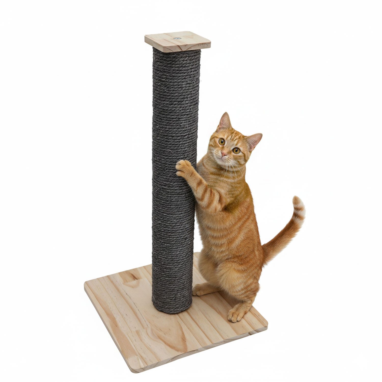 eyepower Kratzbaum Klein - 62 cm Kratzstamm mit Holzplatte Sisal Kratzsäule für Katzen, Katzenkratzbaum mit Massivholz Fußplatte - Sisalstamm Katze Stabil