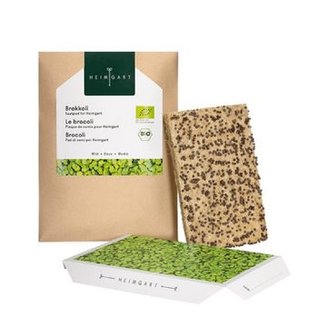 Heimgart Kräutertopf Microgreens Starter-Kit + Saatpad Brokkoli (3 St)