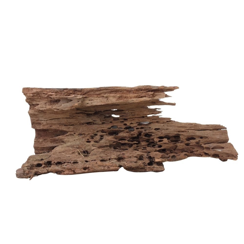 Aquarium XL Mangrovenwurzel Nr.1322 Holz Deko Aquascaping