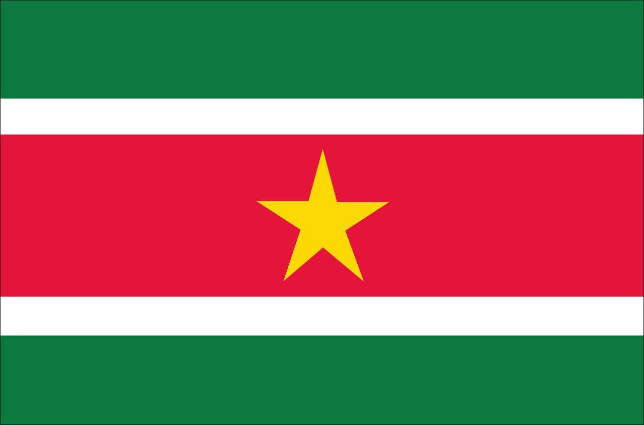 flaggenmeer Flagge Surinam 80 g/m² | Fahnen