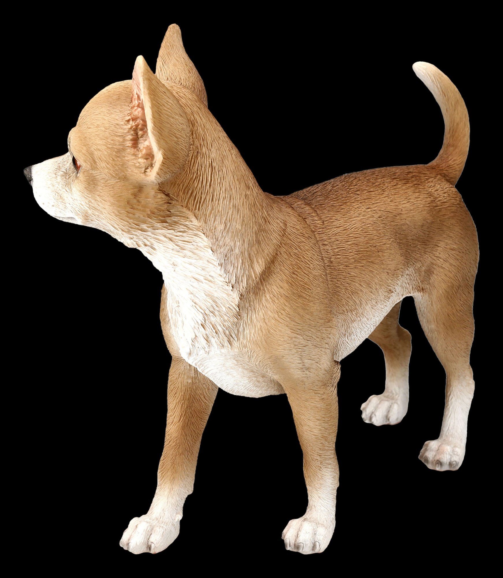 GmbH Figuren Tierfigur Shop Figur Tierdeko Dekofigur - Chihuahua Hunde