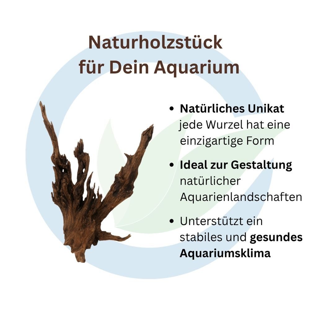 Aquaone Aquarium Driftwood Flußwurzel M 20-30 cm