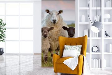 MuchoWow Fototapete Schafe - Natur - Schwarz - Weiß, Matt, bedruckt, (2 St), Vliestapete für Wohnzimmer Schlafzimmer Küche, Fototapete