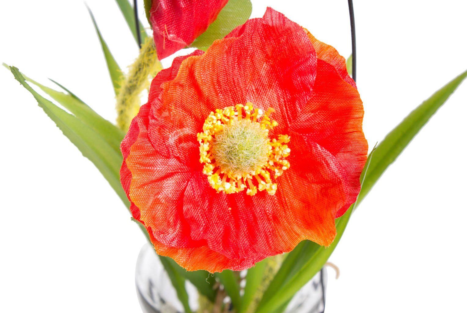 Mohn, Glas 19 Mohnblume Höhe im Kunstblume Botanic-Haus, cm, Kunstpflanze Naturgetreue