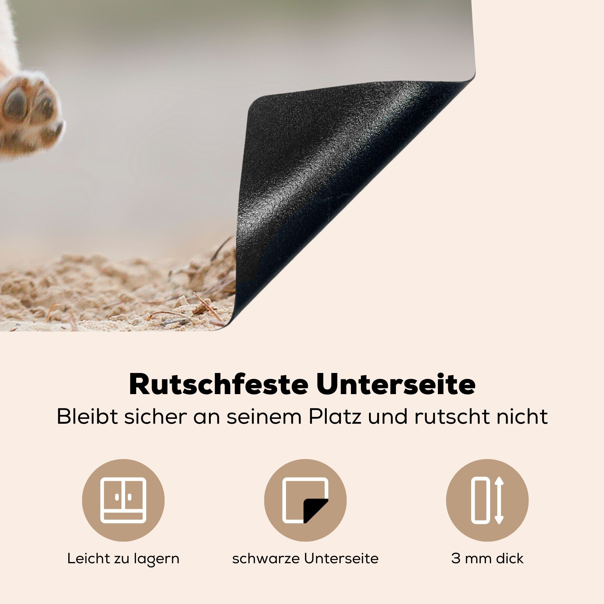 Induktionskochfeld küche, tlg), 81x52 Ein Herdblende-/Abdeckplatte die Retriever (1 Vinyl, MuchoWow Schutz Welpe, Golden Ceranfeldabdeckung für cm,