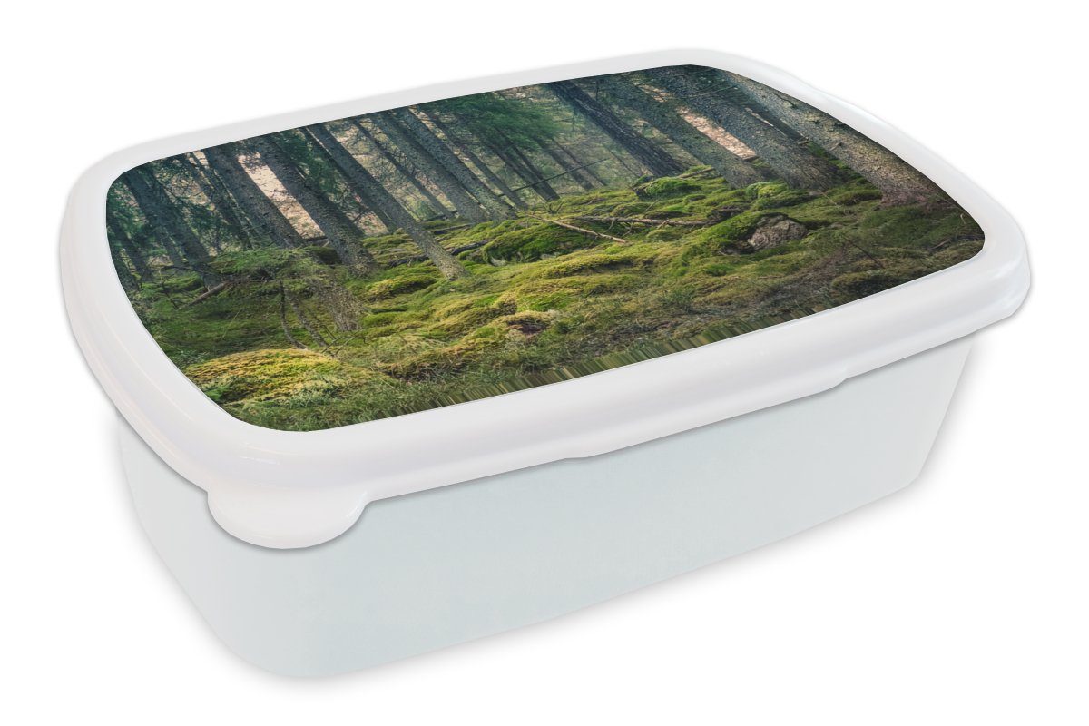 MuchoWow Lunchbox Wald - Baum - Moos, Kunststoff, (2-tlg), Brotbox für Kinder und Erwachsene, Brotdose, für Jungs und Mädchen weiß | Lunchboxen