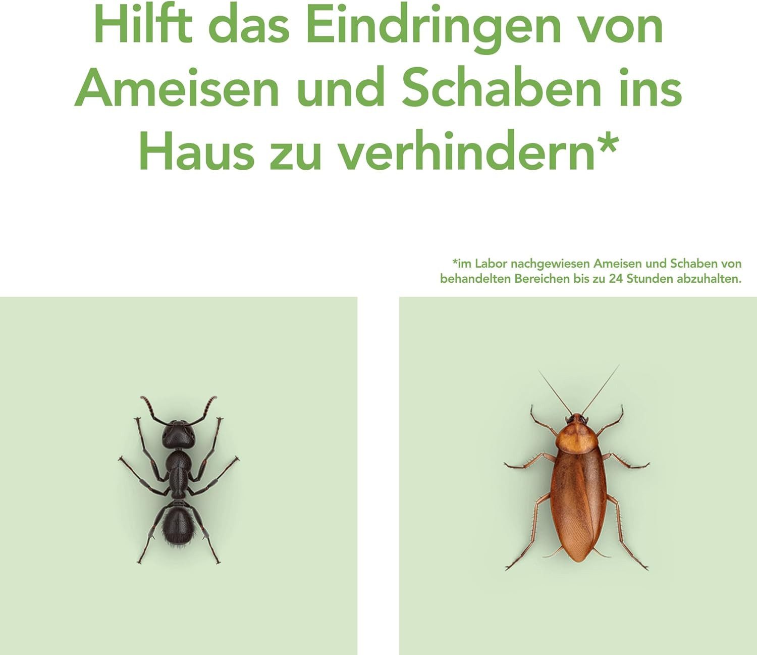 Raid Insektenspray Essentials Ameisen- und Schabenabwehr Raumschutz-Spray