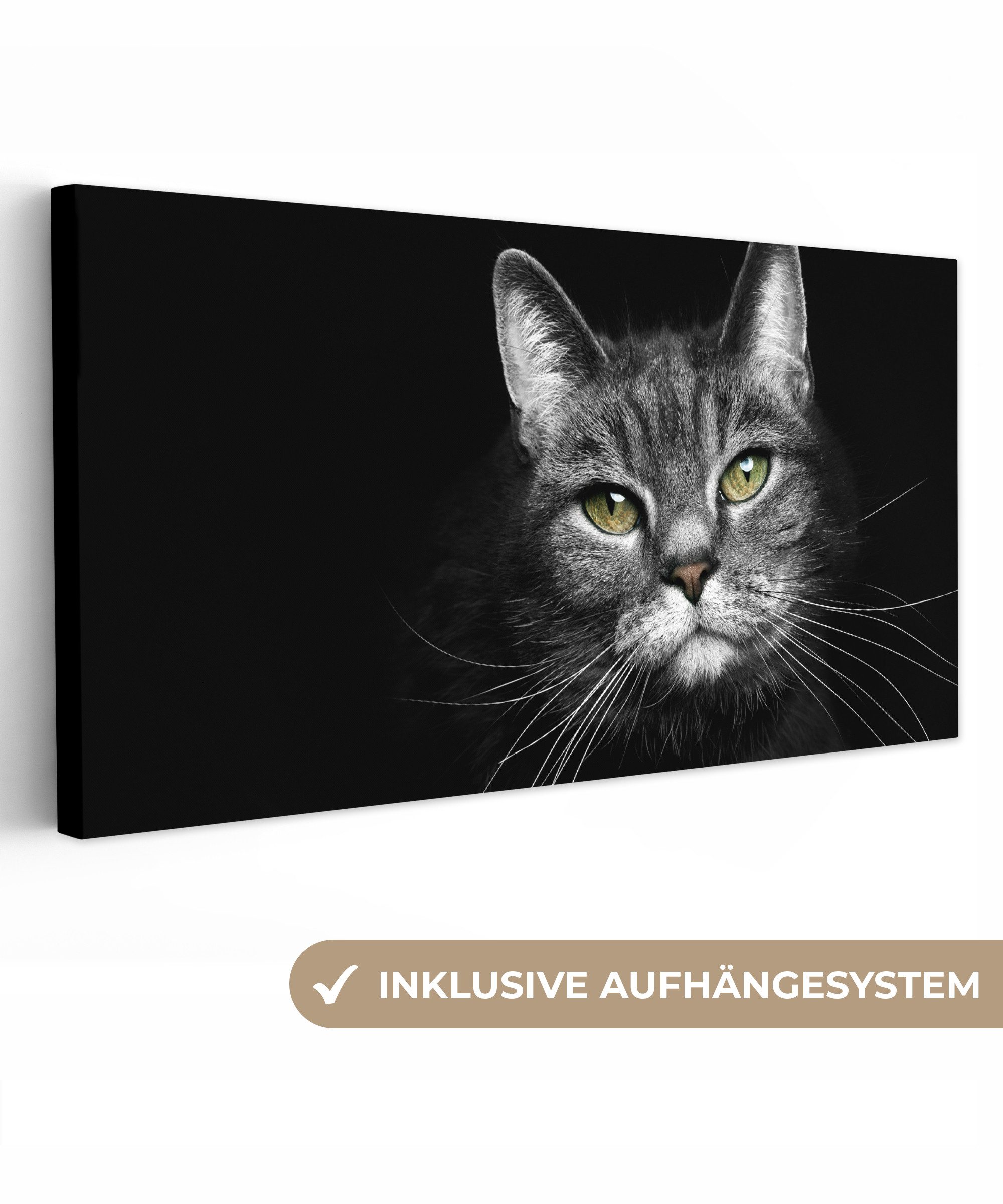 OneMillionCanvasses® Leinwandbild Panorama Haustiere - Katze günstig online kaufen