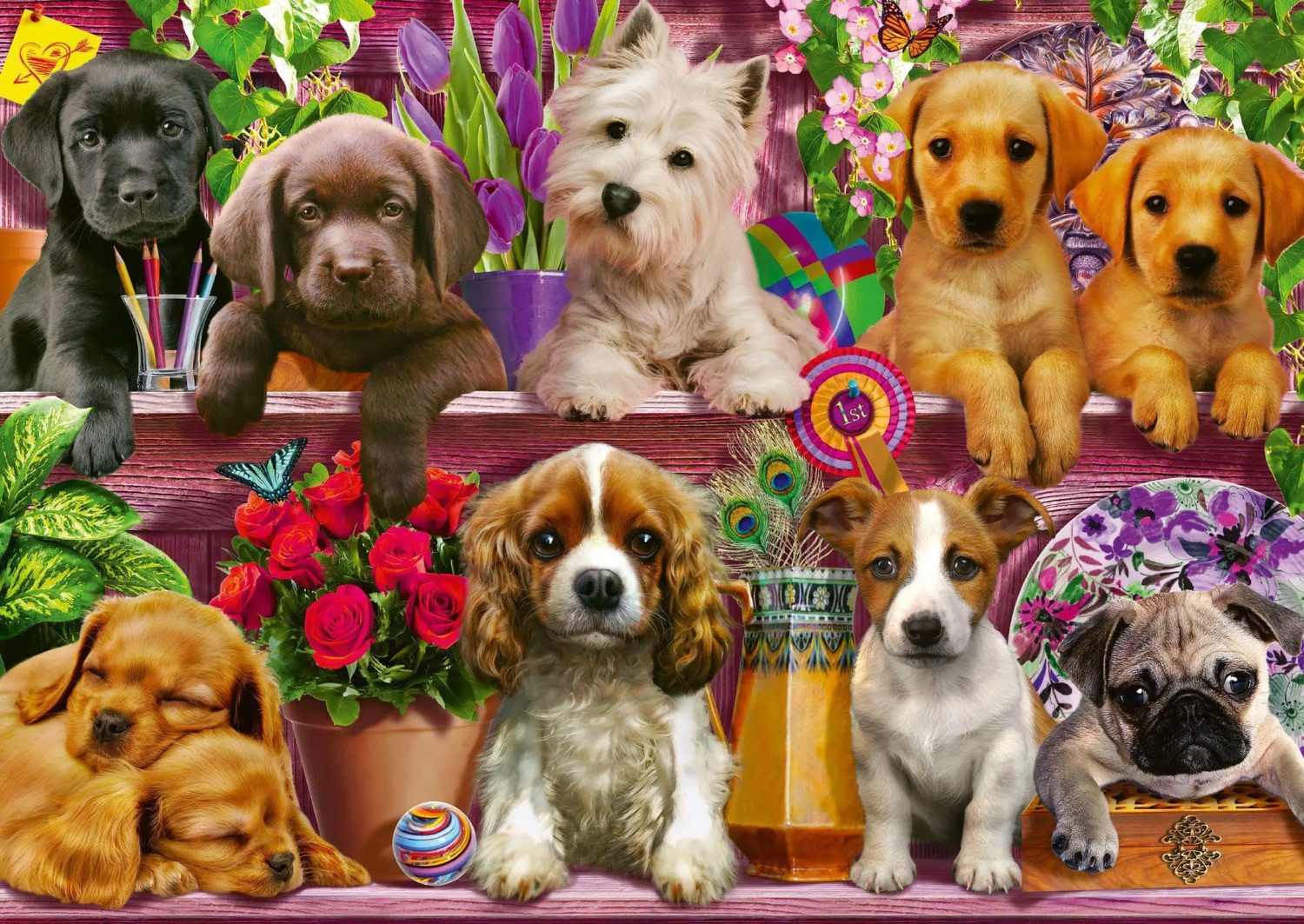 Schmidt Spiele Puzzle Hunde im Regal günstig online kaufen